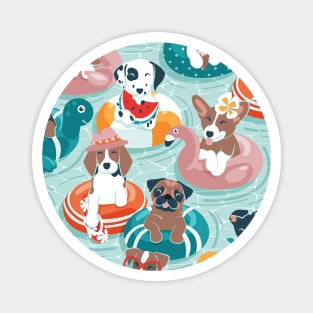 Summer pool pawty // aqua background dog breeds in vacations playing on swimming pool floats Magnet